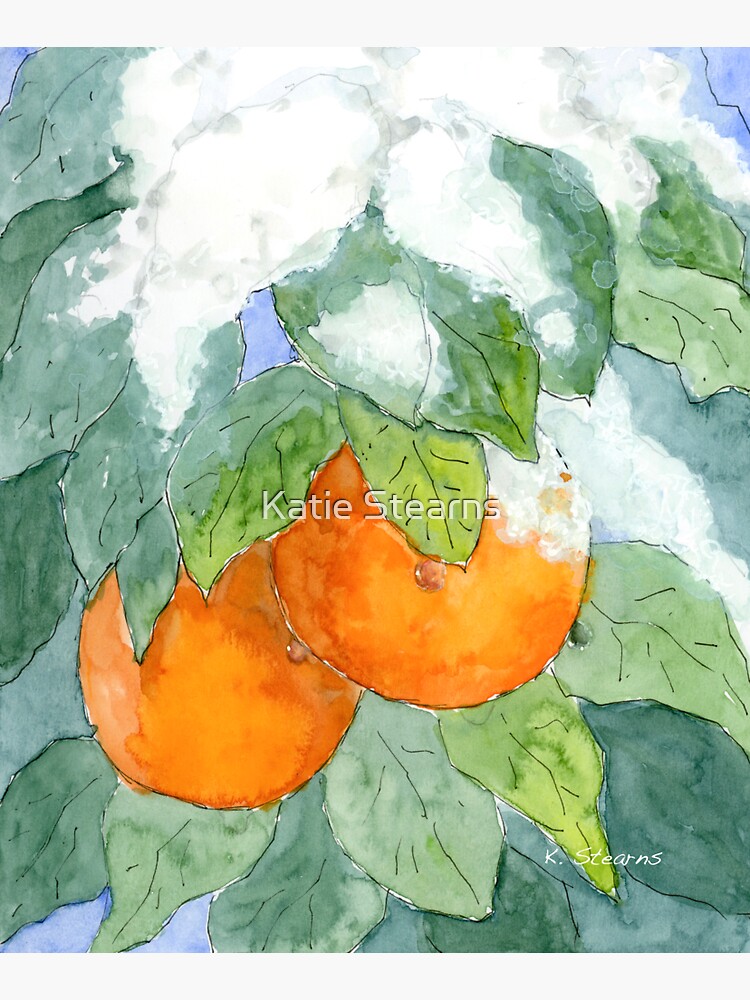 "Orange Freeze Watercolor Painting" Sticker for Sale by KStearnsArt