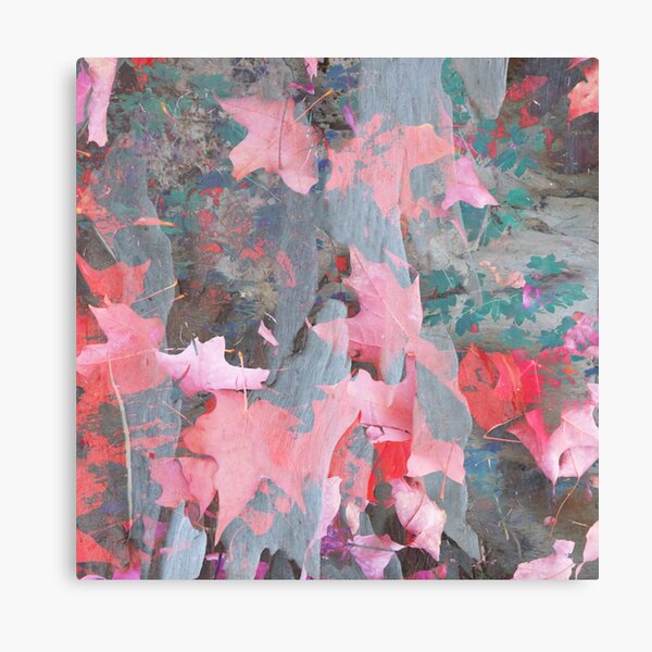 Pink flow 2 Canvas Print