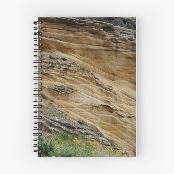 Item preview, It's Sedimentary! Clashach Cove, Moray  designed and sold by Alternative Perspectives.