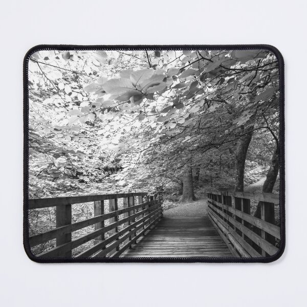 Item preview, Leaf Canopy over Bridge designed and sold by George Kelsey.