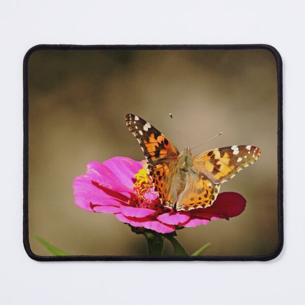 Item preview, Painted Lady designed and sold by Debbie Oppermann.