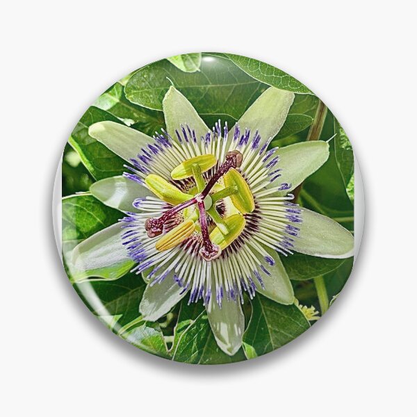 Item preview, Passion Flower designed and sold by Gaia-Rose-Art.