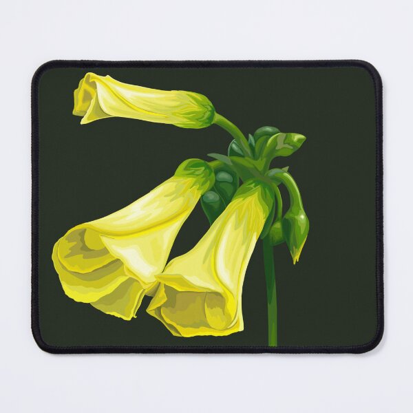 Item preview, Bermuda Buttercup designed and sold by charlesdrawing.