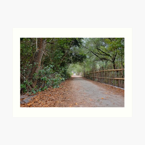 Island Path Art Print