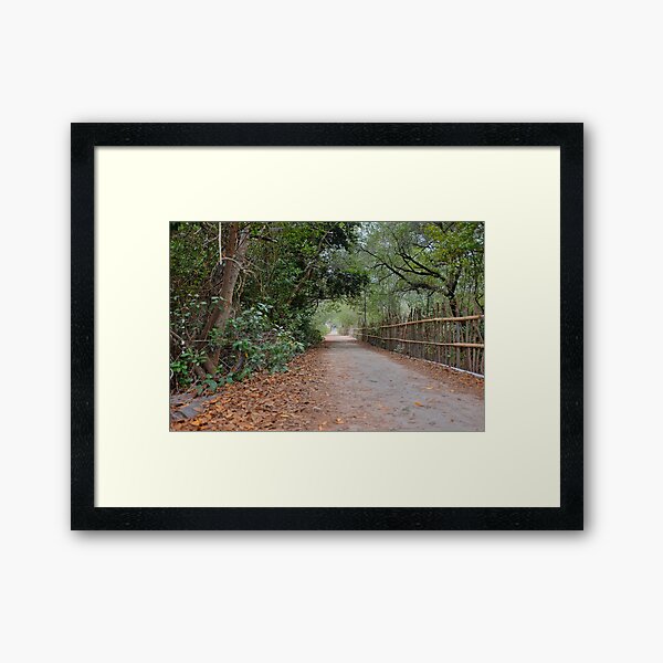 Island Path Framed Art Print