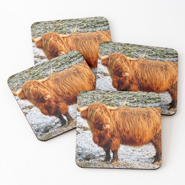 Artikelvorschau, Die Hochlandkuh entworfen und verkauft von MY Scotland.