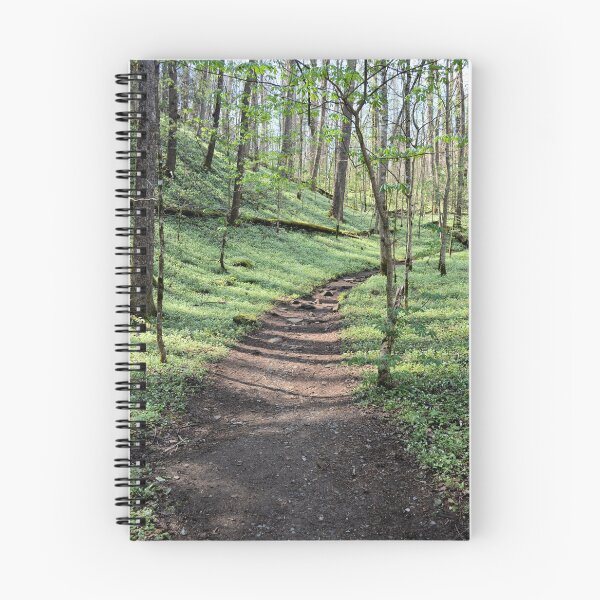 Item preview, Porters Creek Trail en Smoky Mountains designed and sold by Randell Meeks.