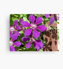Pedals Canvas Print