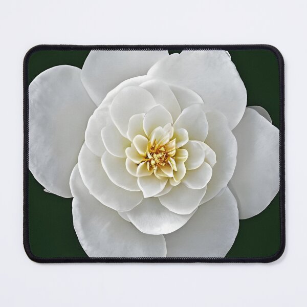 Item preview, White camellia flower designed and sold by gramizzia.