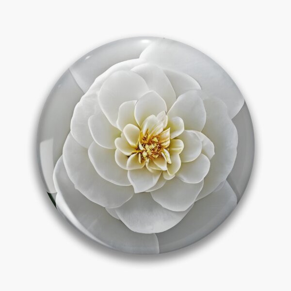 Item preview, White camellia flower designed and sold by gramizzia.