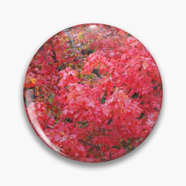 Item preview, Red Maple Autumn designed and sold by Whisperingpeaks.