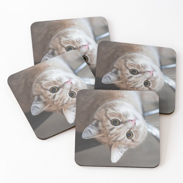 Item preview, portrait cat designed and sold by Jessinia Wallach.