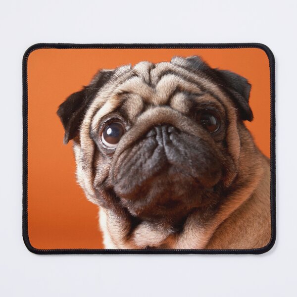 Item preview, Pug designed and sold by Batartiste.