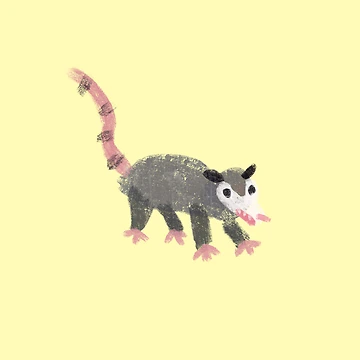 Artwork thumbnail, Possum by RaspberryPunch
