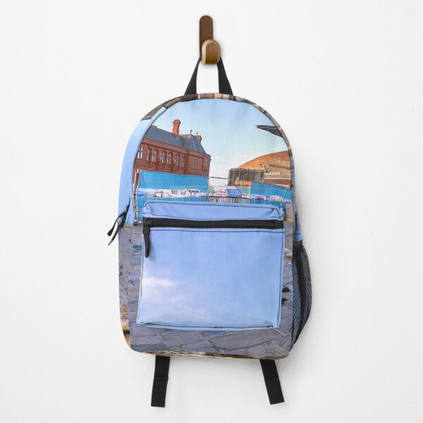 Item preview, Cardiff Bay, The Pierhead Building And The Senedd designed and sold by VnGphoto.