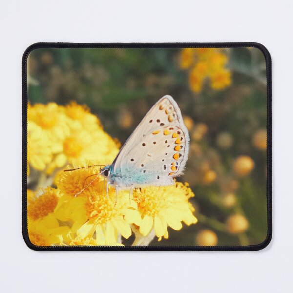 Item preview, A painted lady on small yellow flowers designed and sold by helenkaiy.
