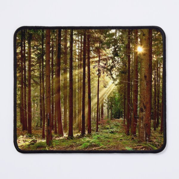 Item preview, Sunbeams Through The Trees. designed and sold by Kerry Palmer.