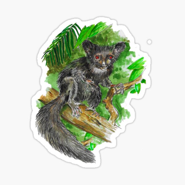 Forest animal print, Aye Aye watercolor, illustration, luxury gift art, Madagascar Sticker