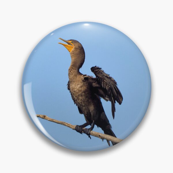 Item preview, A Double-crested Cormorant On a Branch With Its Wings Spread designed and sold by BackyardBirder.