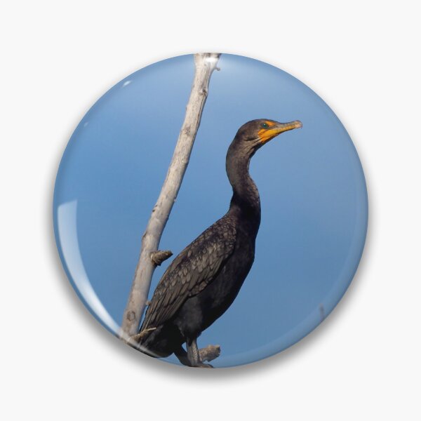 Item preview, Double-crested Cormorant Perched On a Tree Branch designed and sold by BackyardBirder.