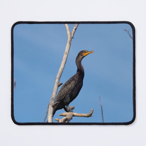 Item preview, Double-crested Cormorant Perched On a Tree Branch designed and sold by BackyardBirder.
