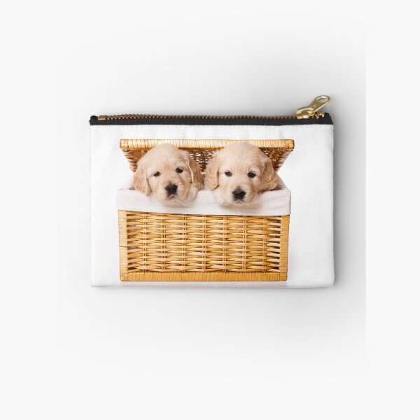 Item preview, Two labrador puppy in a basket (isolated on white) designed and sold by utekhina.