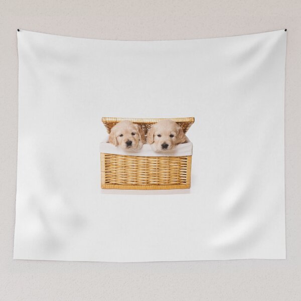 Item preview, Two labrador puppy in a basket (isolated on white) designed and sold by utekhina.