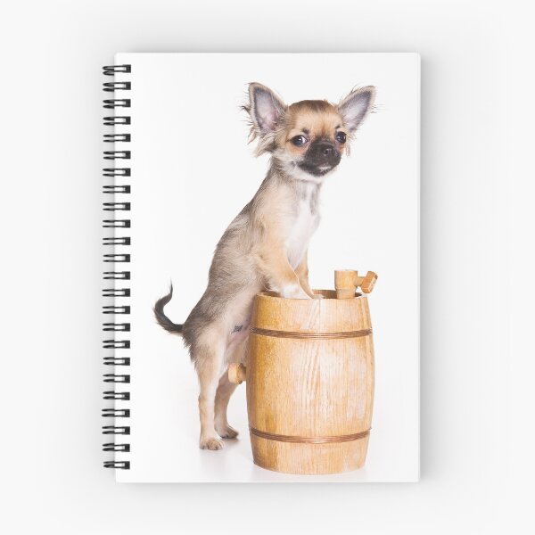 Item preview, Chihuahua dog and a bowl (isolated on white) designed and sold by utekhina.