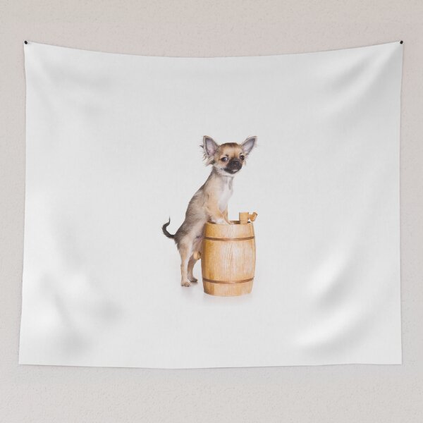 Item preview, Chihuahua dog and a bowl (isolated on white) designed and sold by utekhina.