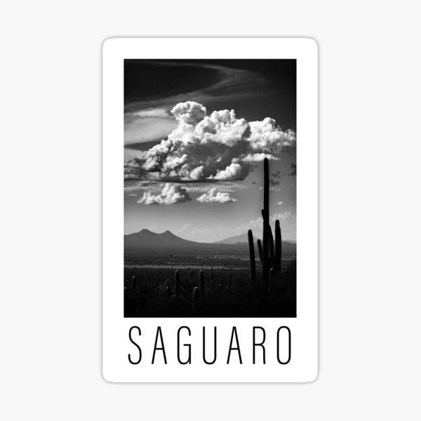 Saguaro National Park Silhouette Sticker