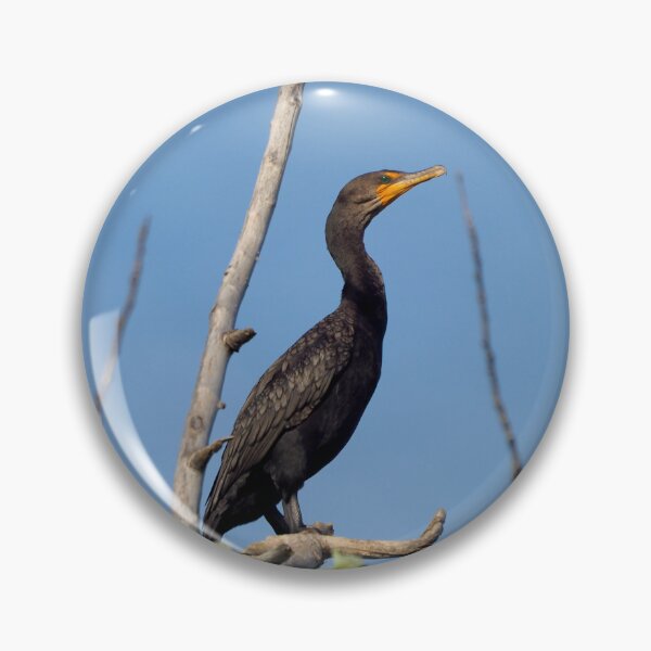 Item preview, Double-crested Cormorant Perching On a Tree Branch designed and sold by BackyardBirder.