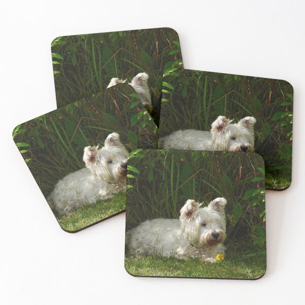 Item preview, Dog with yellow flower designed and sold by DrAgonPhotos.