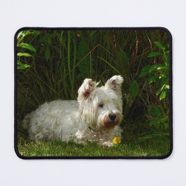 Item preview, Dog with yellow flower designed and sold by DrAgonPhotos.