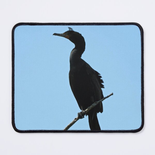 Item preview, Double-crested Cormorant Perched designed and sold by BackyardBirder.