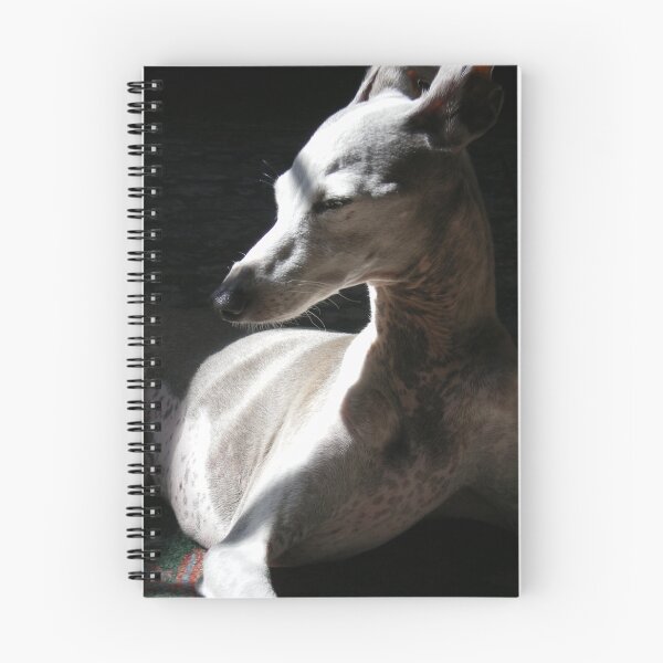 Item preview, Italian Greyhound in Light designed and sold by Rebekah  McLeod.