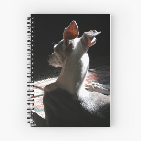 Item preview, Italian Greyhound in Shadow designed and sold by Rebekah  McLeod.