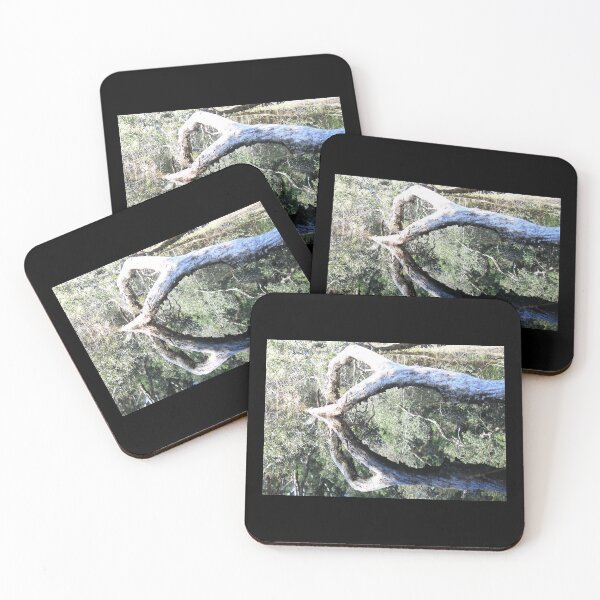 Item preview, Reflected Tree in Wetlands  Awabakal Reserve designed and sold by KazM.