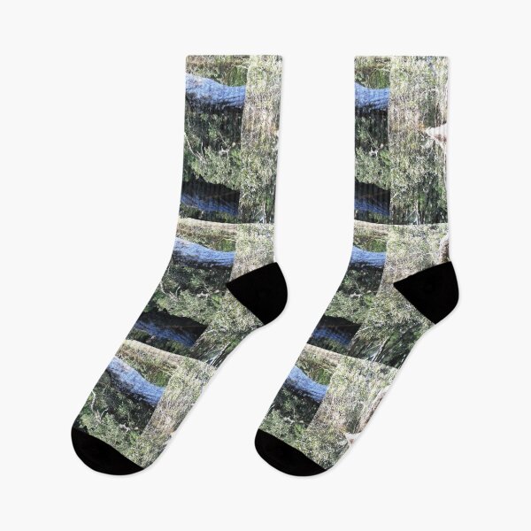 Item preview, Reflected Tree in Wetlands  Awabakal Reserve designed and sold by KazM.