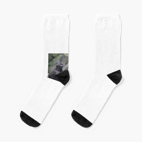 CRIMER Socks White/Black — CRIMER