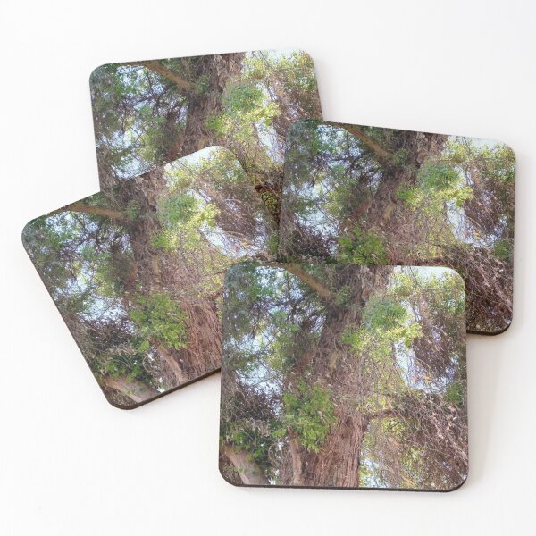 Item preview, Groovy vintage tree. designed and sold by DaliaSabryTee.