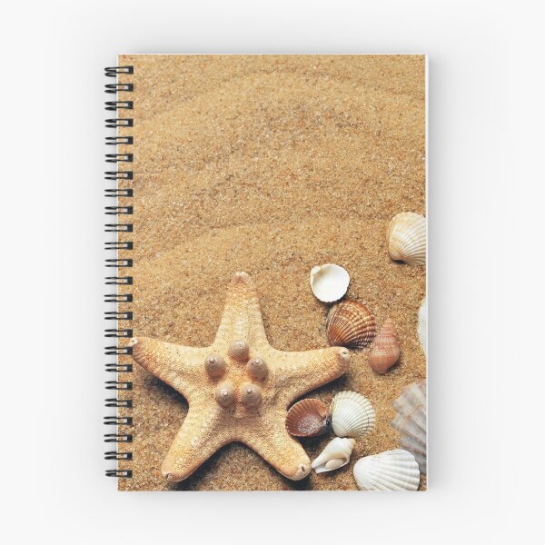 Item preview, shells on sand designed and sold by mottyshop.