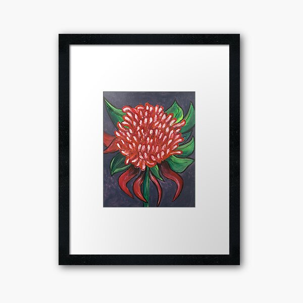 Australian Native Red Pink Waratah Flower acrylic on canvas by kellieirvineart kel72 Framed Art Print