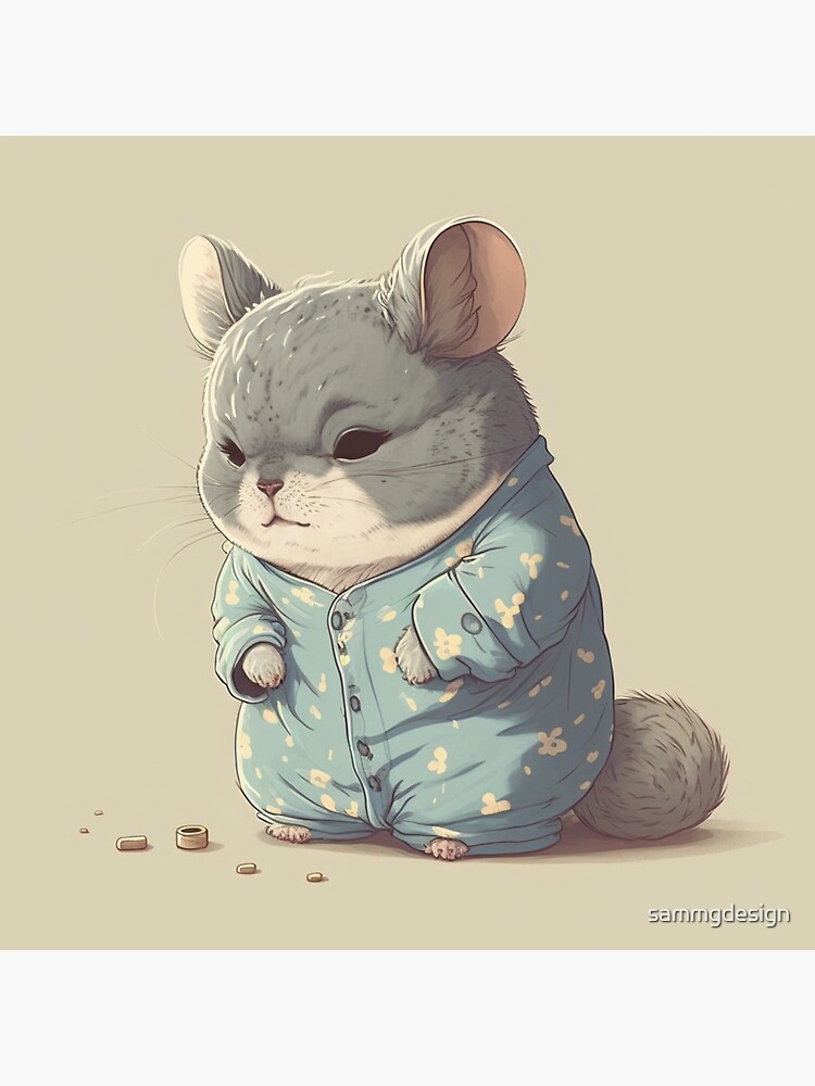 HD Chinchilla Wallpapers and i  Apps on Google Play