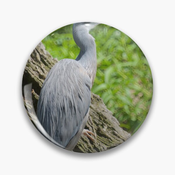 Item preview, White Faced Heron  designed and sold by D-GaP.