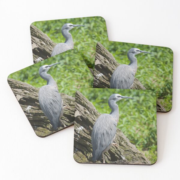 Item preview, White Faced Heron  designed and sold by D-GaP.