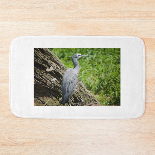 Item preview, White Faced Heron  designed and sold by D-GaP.