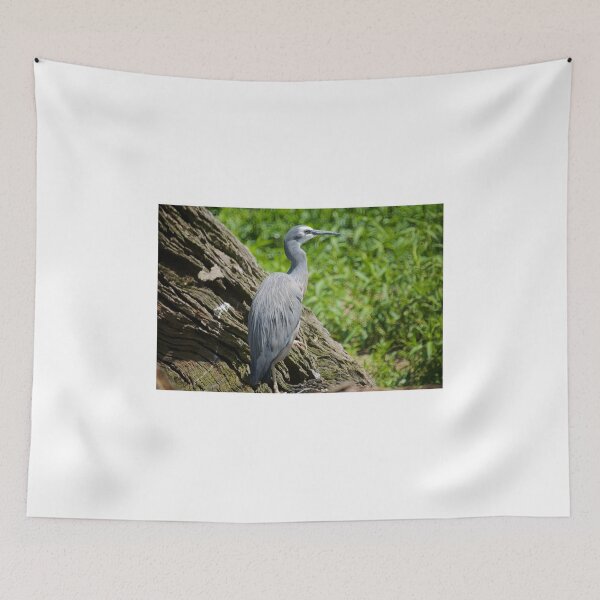 Item preview, White Faced Heron  designed and sold by D-GaP.
