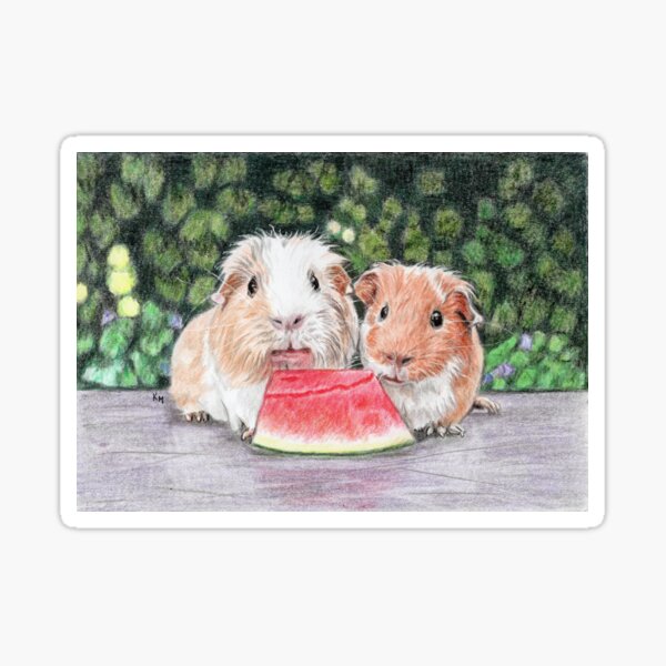 Item preview, Two cute guinea pigs eating watermelon designed and sold by Katerina Makarova.