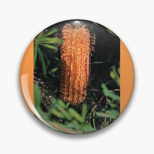 Item preview, Beaut Banksia designed and sold by KazM.