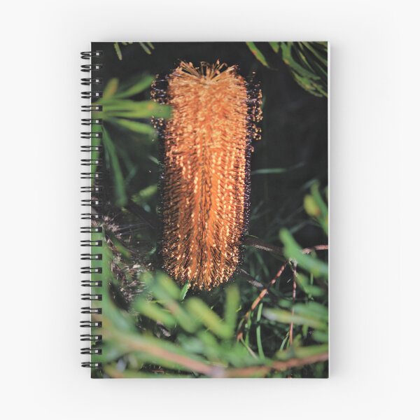 Item preview, Beaut Banksia designed and sold by KazM.